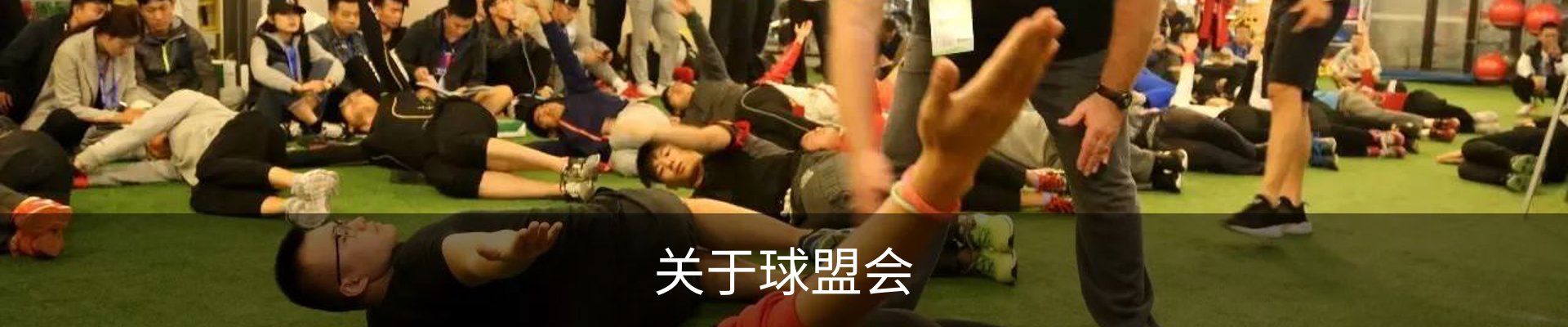 关于球盟会